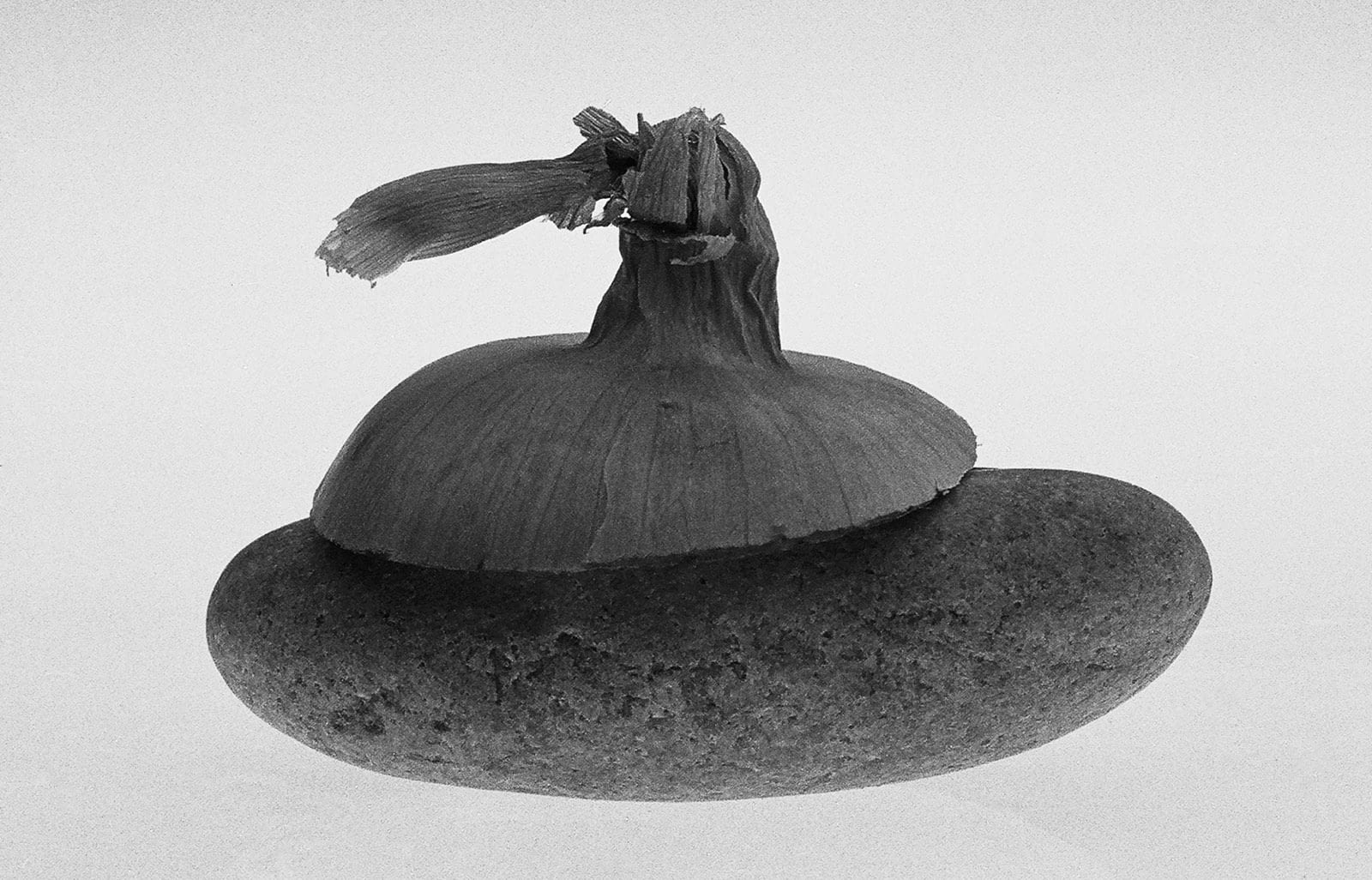 Still Life 1994 – 1995