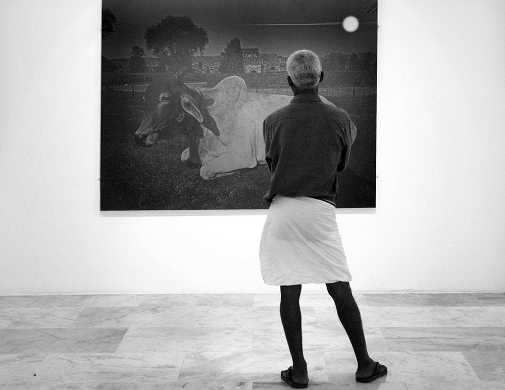 Animals solo show of Abul Kalam Azad 100 years of Cinema, Abul Kalam Azad's group show at France 1995